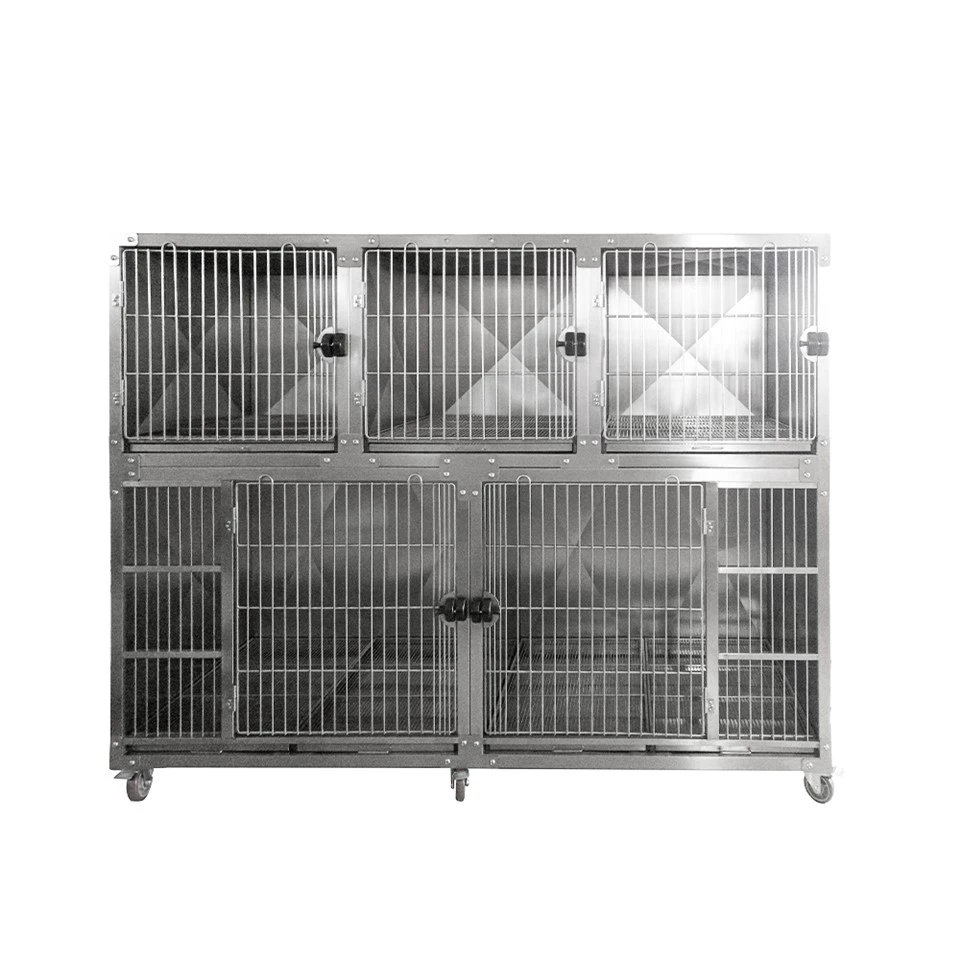 Best Dog Kennel For Large Dogs