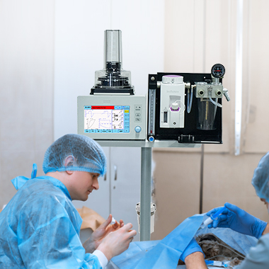 Great Invention – Animal Anesthesia Machine