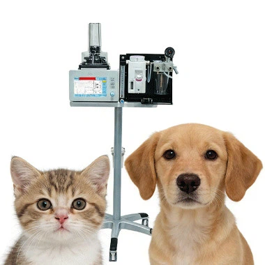 Intelligent Veterinary Anesthesia Ventilators Open a New Chapter in Small Ani...