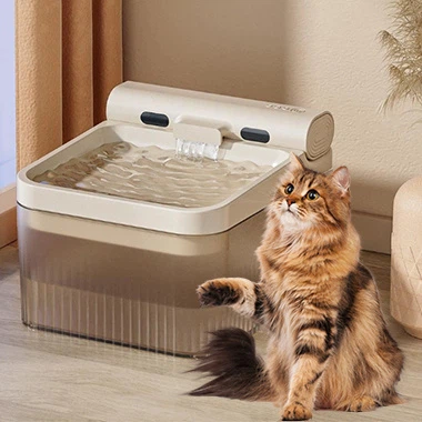Why We Made This Pet Intelligent Water Dispenser?