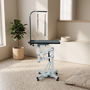 Are Pet Grooming Stations Always Having Problems? This Article Will Help You ...