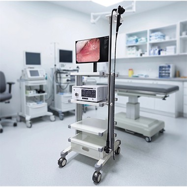 How to Choose the Right Veterinary Endoscopy Equipment for Different Animal C...