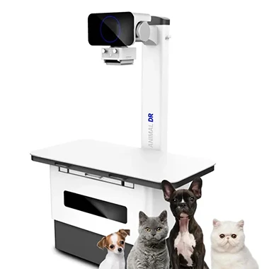 How Should a Veterinary Hospital Choose a Suitable Veterinary X-ray Machine?