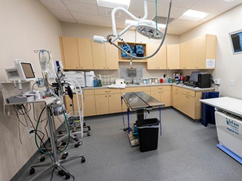 veterinary surgery table for sale veterinary surgery table for sale