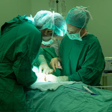 Analysis Of Future Trends in The Pet Medical Equipment Industry