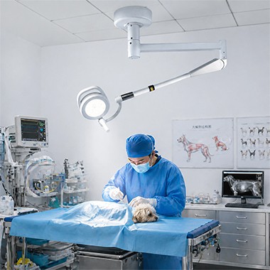 YD195CLED Vet Surgical Light: Clinical Design Concept And Development Intent