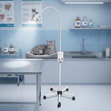 How To Choose A Veterinary Examination Light? Huifeng Medical's 6 Popular Mod...