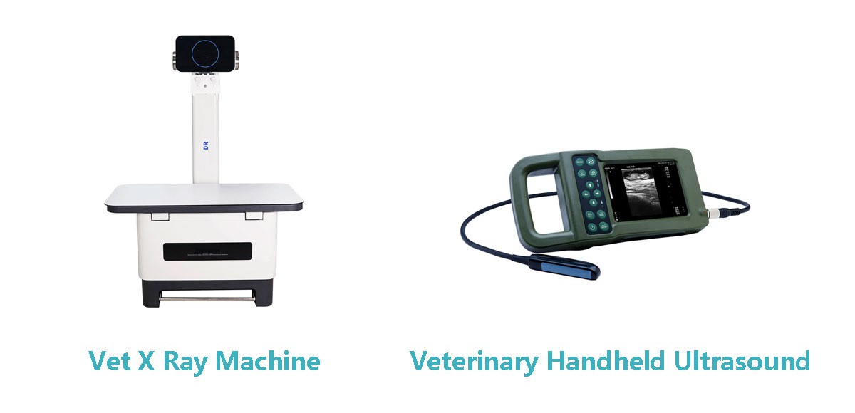 news-1200-580 news-1200-580