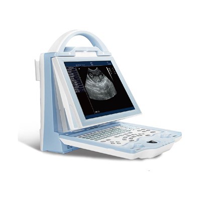 Veterinary Diagnostic Ultrasound